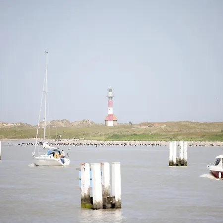 Apartman In Near The Beach, Cleaning Included Nieuwpoort
